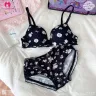 Premium Quality Light-Weight Supper Soft Light Padded Regular Bra | Japanese Bra-2