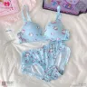 Premium Quality Light-Weight Supper Soft Light Padded Regular Bra | Japanese Bra-2