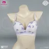 Cute Butterfly Mesh Net Push Up Bra | Net Butterfly Bra