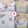Cute Butterfly Mesh Net Push Up Bra | Net Butterfly Bra
