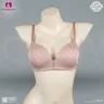 Ultra Light Soft Padded Slim Bra for T-shirt and Shirt | Print Treeshirt