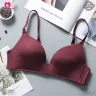 Imported Premium Quality Light Padded Bra Best for Shirt and T-Shirt | Tree Shirt