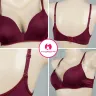Imported Premium Quality Light Padded Bra Best for Shirt and T-Shirt | Tree Shirt