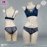 Self Design Fancy Bra and Panty Set for Women | New Fancy