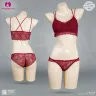 Premium Quality Light Padded Bra & Panty Set | New Shikhor