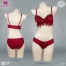 Seamless Lace Style Padded Bra Set | Old Cup