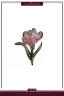 Premium Hijab Brooch | HB-38