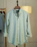 Mint and Grey Remi Cotton Old Money Striped Shirt | MS-233